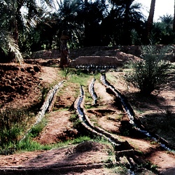 irrigation sud algerie