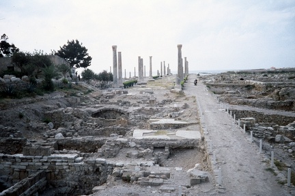 Voie romaine à Tyr au Liban