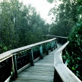 Passerelle à Everglade en Floride
