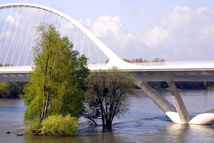Pont de l_Europe sur la Loire à Orléans