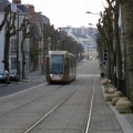 tramways/orleans/1010687.jpg